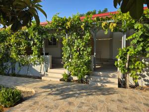 Garden Room with Private Patio Salamis