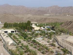 Neem camp