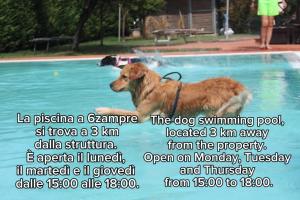 Pet Hotel Virginia - Hotel per cani