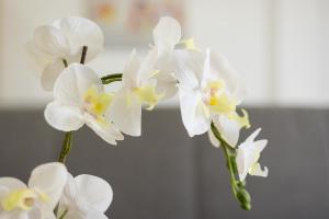 Home2Book Bettys Chic City Apartment
