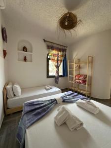 Haven Hills Chaouen