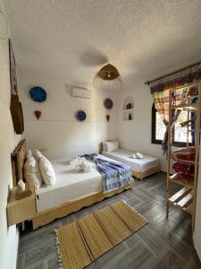 Haven Hills Chaouen