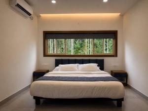 Paddy Trails Nature Retreat Wayanad - Paddy Fields & Sunflower Gardens