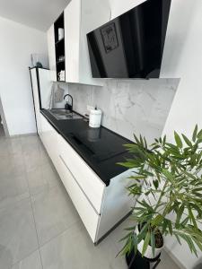 Apartment Lagoon