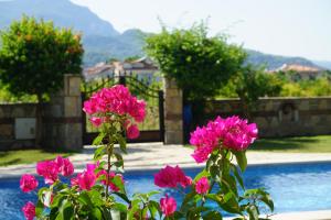 Villa Umut - Dalyan