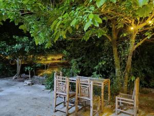 Haven Kitchen & Cafe
