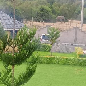 Africanna Breeze Resort, Chaka