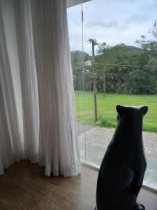 Conforto em Pomerode