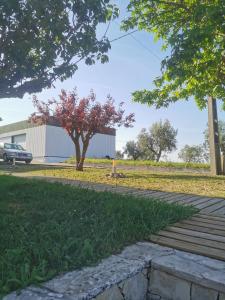 Casa da Lala - Alojamento a 4km de Fátima