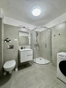 Aurum Studio