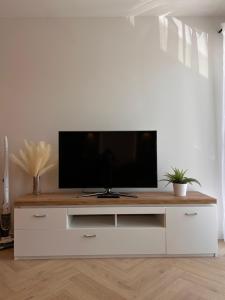 Scandi Studio