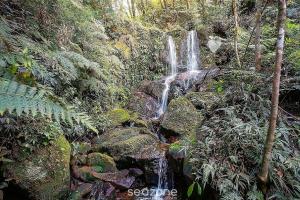 Cabana romântica perto de Florianópolis VST038