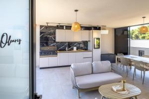 Luxury Apartment Olearis