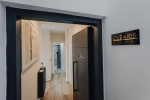 Luxury Apartment Olearis