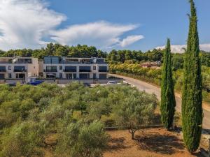 Luxury Apartment Olearis
