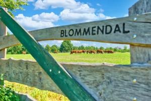 Boeren glamping De Ruif De zilverberk