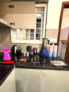 New Stunning 1BHK Penthouse