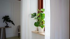 The Suite - Trani centro