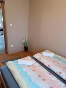 My Home Tulipán