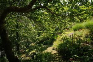 The Wood