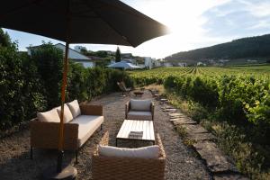 Morgadio da Calcada Douro Wine&Tourism