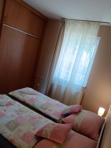 My Home Tulipán
