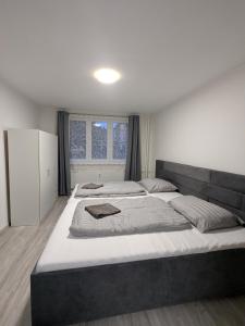 Apartmán Skřítkov