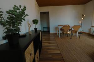 Simply Cozy Apartment in Winterthur