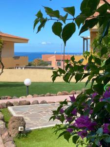 Casa Tartaruga3