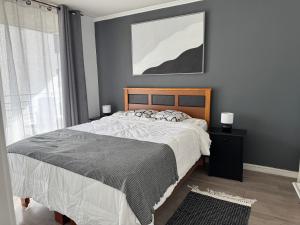 Providencia Central Suites