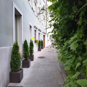 Habemus Loft -The Circle raffinato ed esclusivo Art-loft open space nel cuore storico pedonale di Trieste