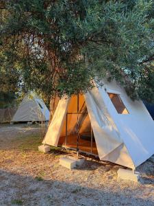 Borsh Olive Camping