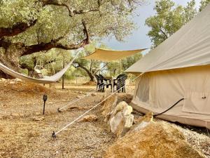 Paraiso Bell Tent - Glamping with Pool in Nature