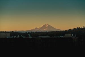 Staypineapple, Watertown Hotel, University District Seattle