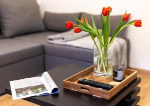 Old Town Garden Apartment with Private Courtyard