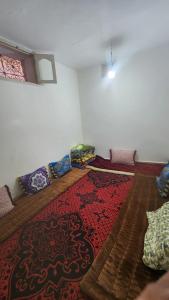 Amir appartement