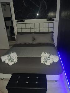 Sogno nella Corte