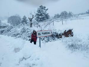 Alojamientos El Pardal