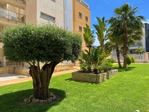 Green Oasis in Villamartin with heated pool and jakuzzi