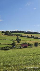 Domek w Bałyzach z balią - prywatna Oaza w Pieniach