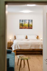Apartmán Jarková 9