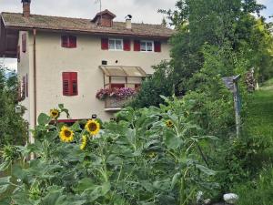 Casa Montana & Zampette
