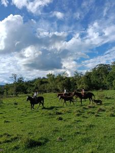 Finca Keo
