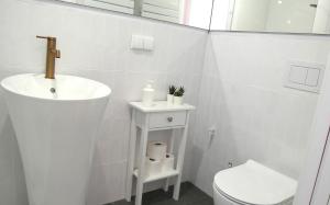 Apartamencik Mikołaja Kopernika