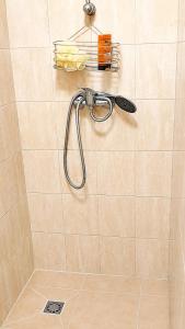 Mosty Home