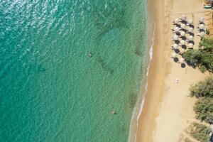 Beachfront Pleasure