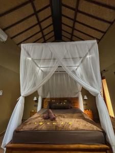 Seraya Homestay Pemuteran