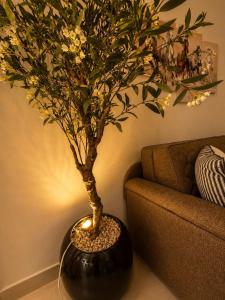 La Playa Residence, 2-bedroom apartment with pool, Mansouria
