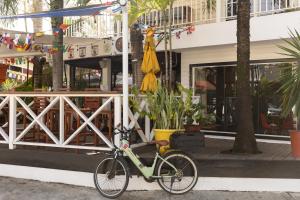 Hotelito del Mar Bocas Town