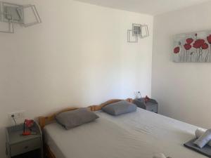 Apartments Danijela & Vlado - Two Bedroom Apartment with Balcony and Garden View